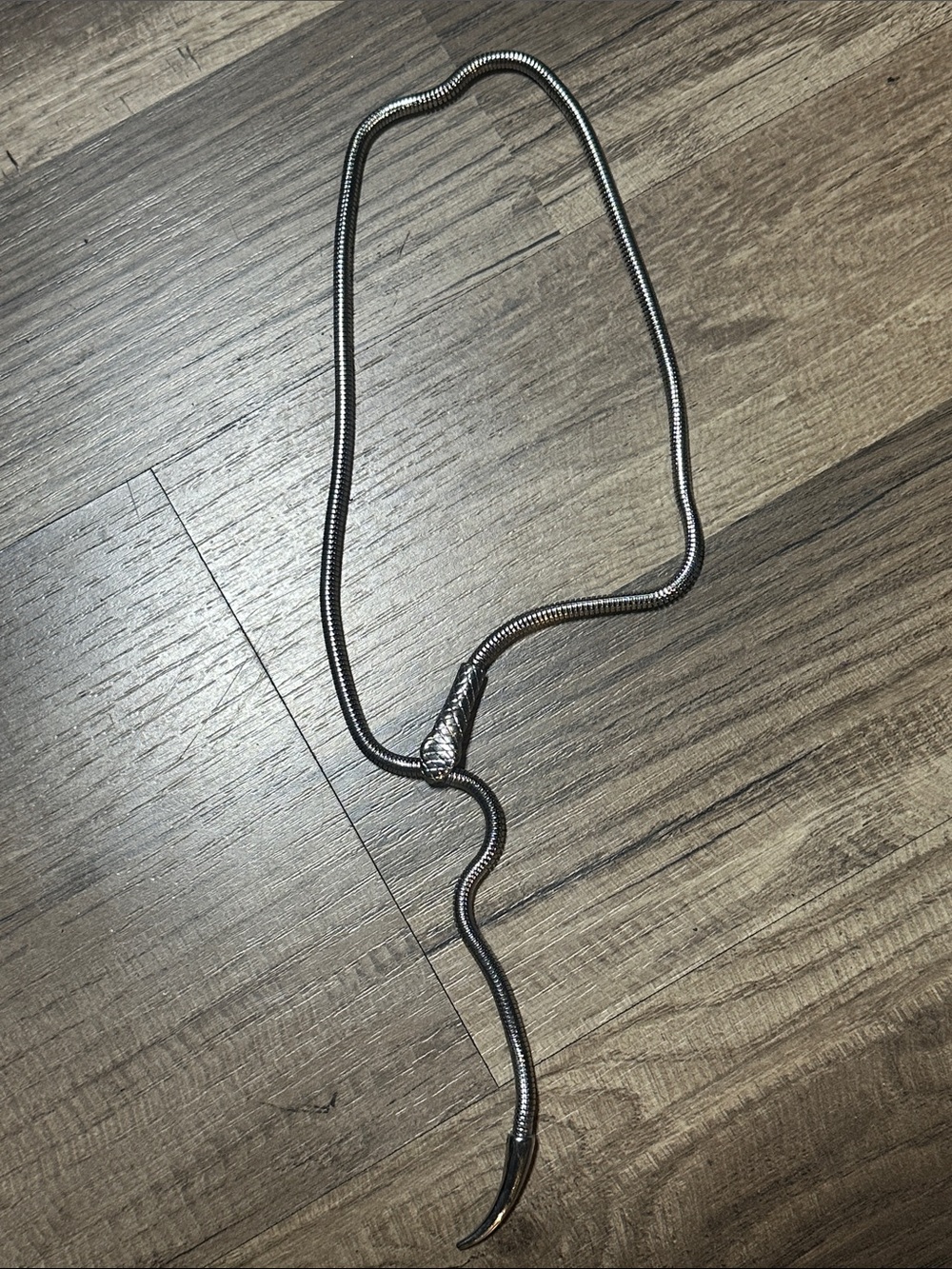 Sleek silver-tone Snake-Style Pendant 24” Necklace